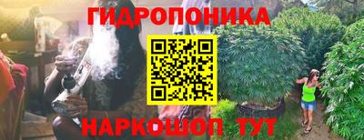 кокаин перу Кингисепп