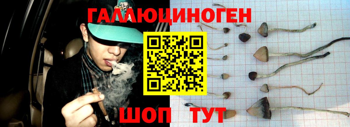 Псилоцибиновые грибы MAGIC MUSHROOMS  Вход с VPN  Королёв  Галлюциногенные грибы ЛСД 